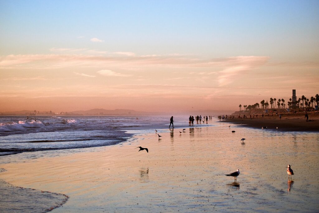 An image of a person on a beach after online rehab