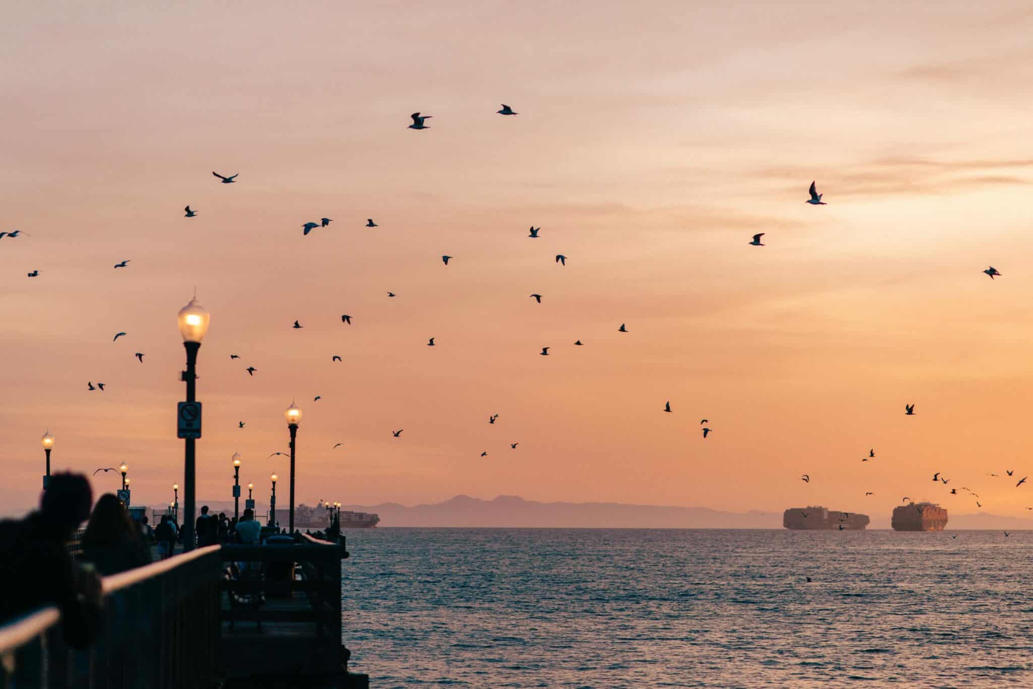 an image of the pier near seal beach rehab