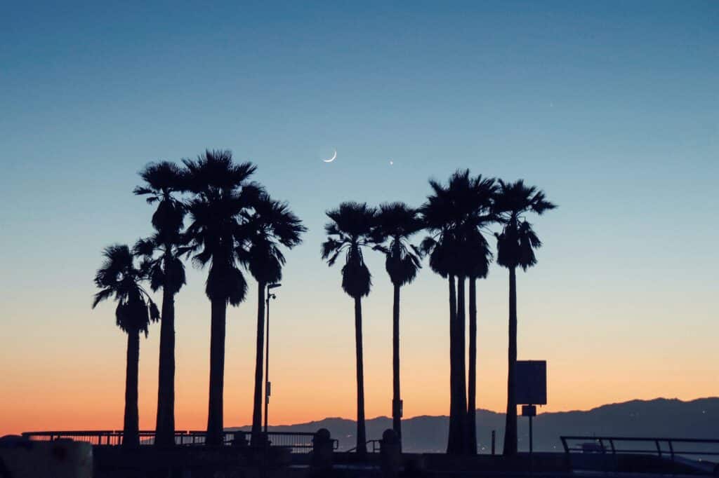 An image of the beach near a Los Alamitos Rehab